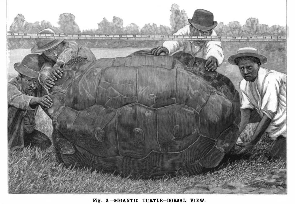 An illustration from Scientific American, Vol. 75, No. 1 (1896), 1896, leaf 8