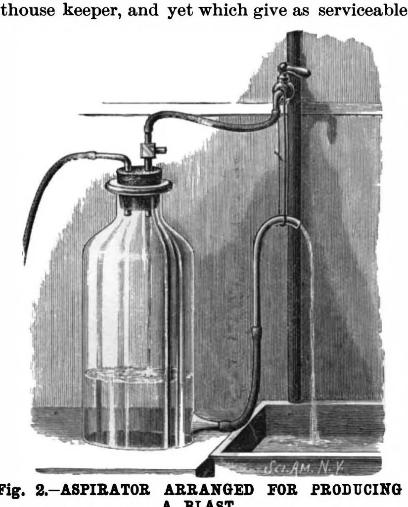 An illustration from Scientific American, Vol. 75, No. 7 (1896), 1896, leaf 9