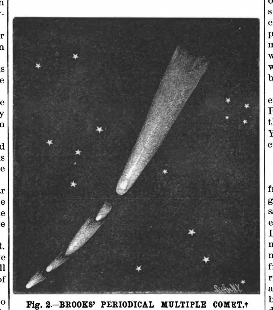 An illustration from Scientific American, Vol. 75, No. 8 (1896), 1896, leaf 9