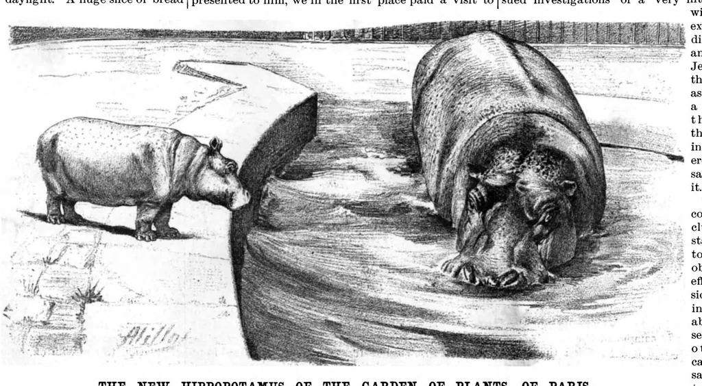 An illustration from Scientific American, Vol. 75, No. 14 (1896), 1896, leaf 4