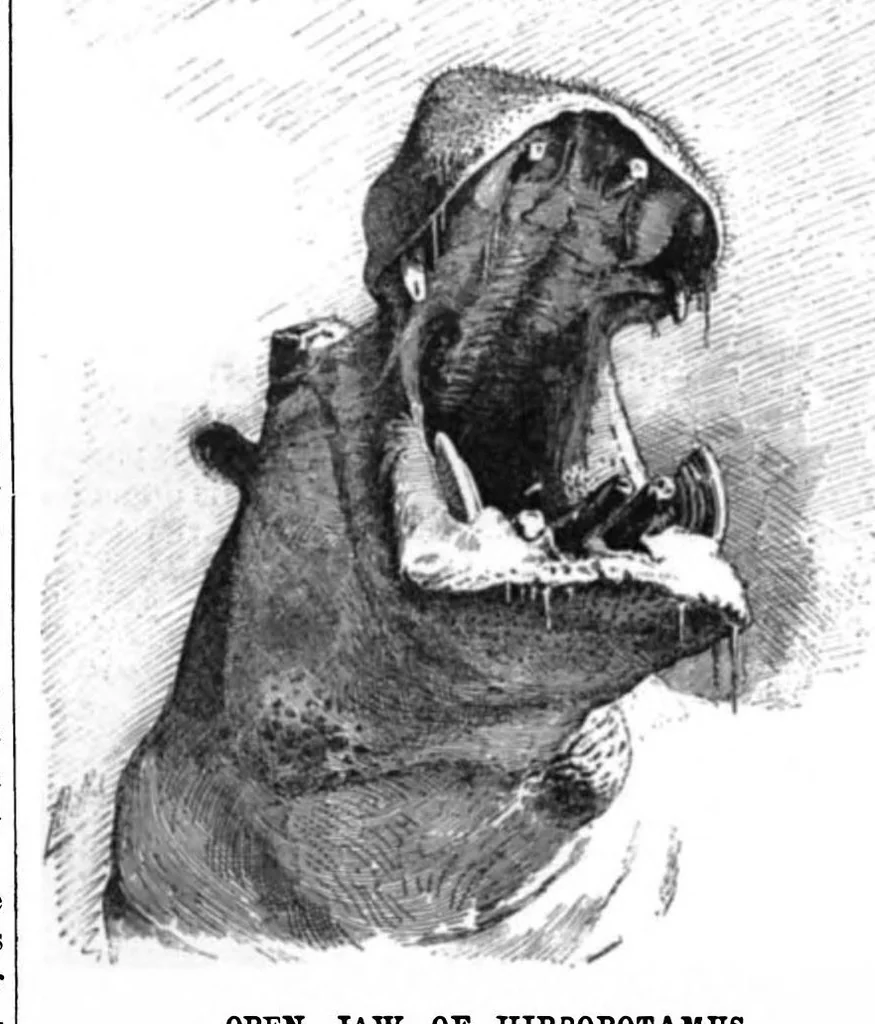 An illustration from Scientific American, Vol. 75, No. 14 (1896), 1896, leaf 4