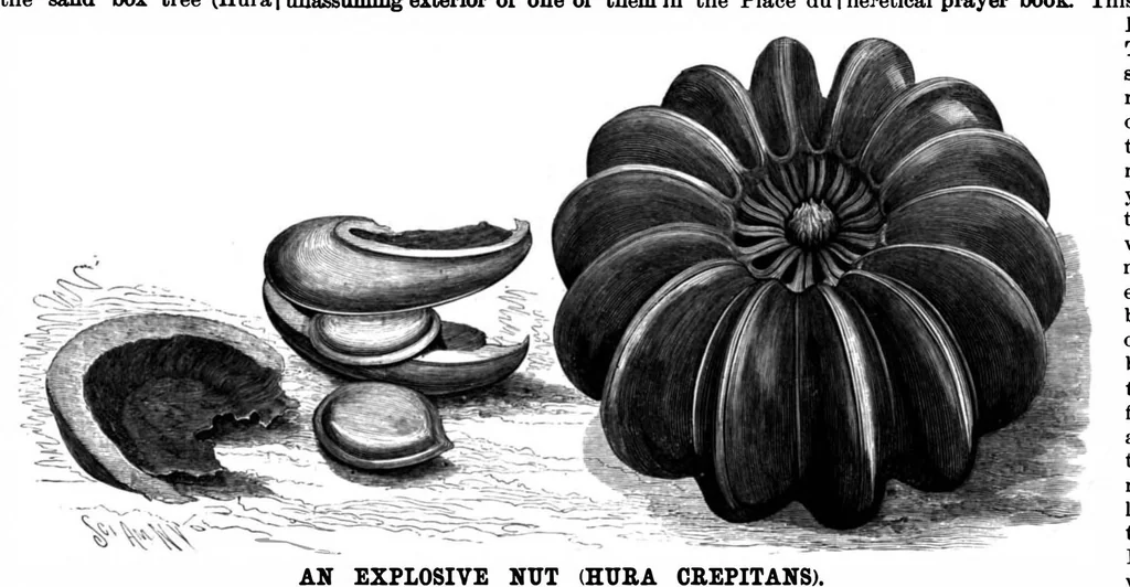 An illustration from Scientific American, Vol. 75, No. 19 (1896), 1896, leaf 7
