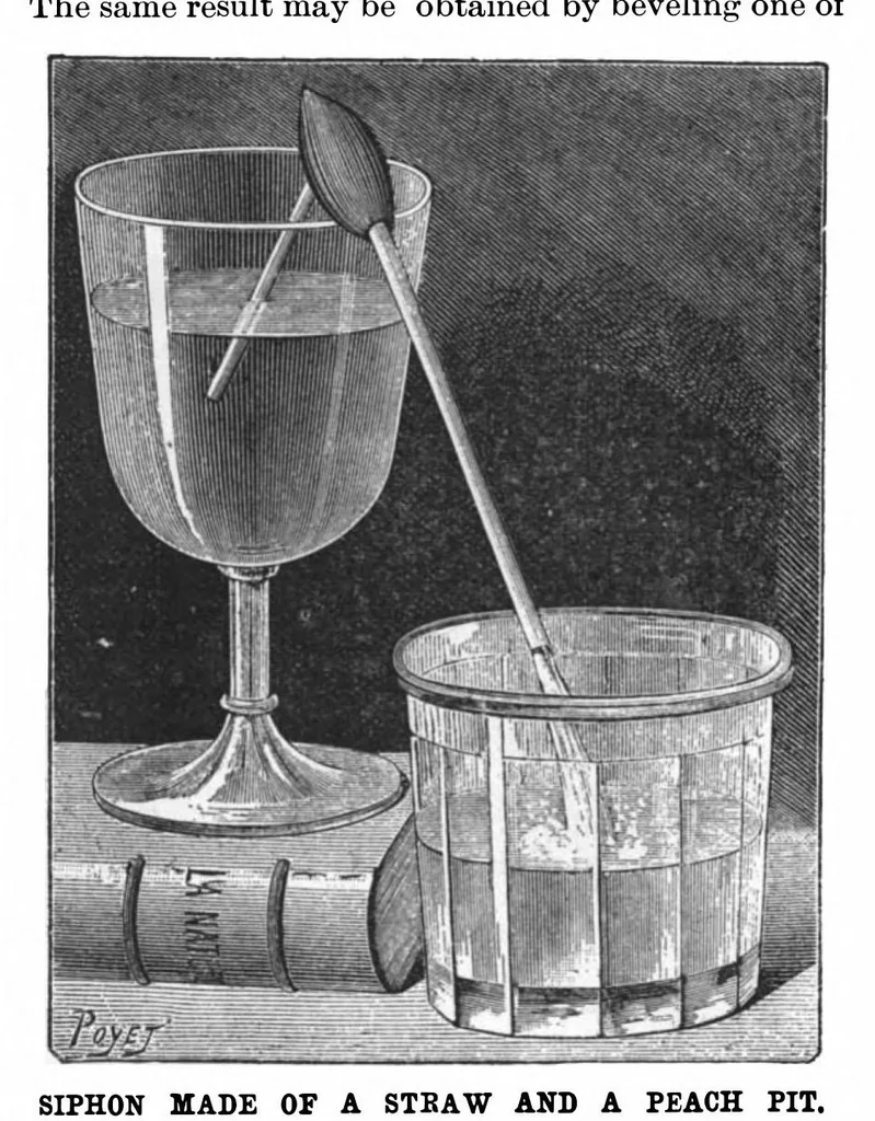 An illustration from Scientific American, Vol. 75, No. 23 (1896), 1896, leaf 9