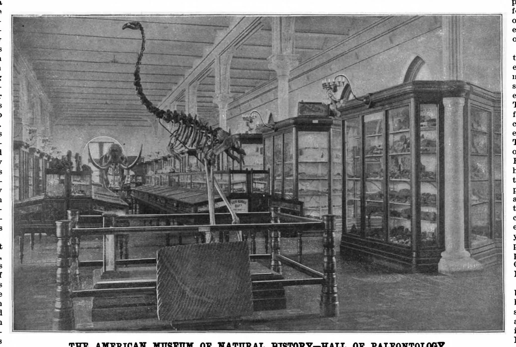 An illustration from Scientific American, Vol. 75, No. 25 (1896), 1896, leaf 4