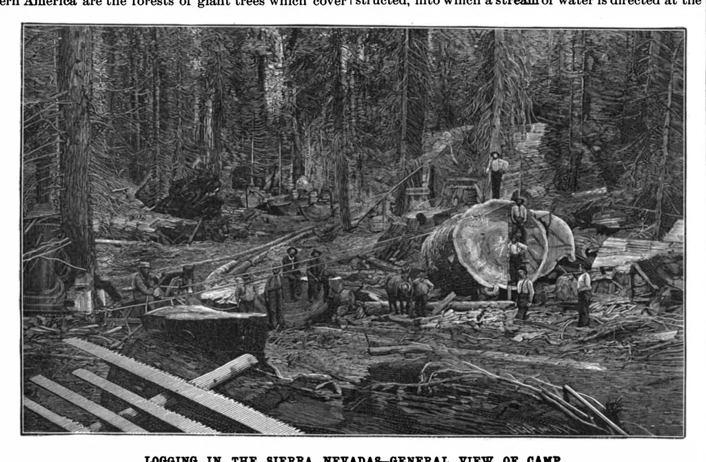 An illustration from Scientific American, Vol. 75, No. 25 (1896), 1896, leaf 7