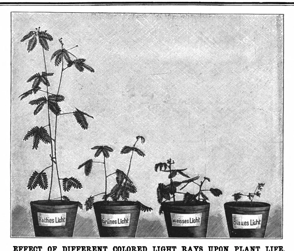 An illustration from Scientific American, Vol. 76, No. 1 (1897), 1897, leaf 8