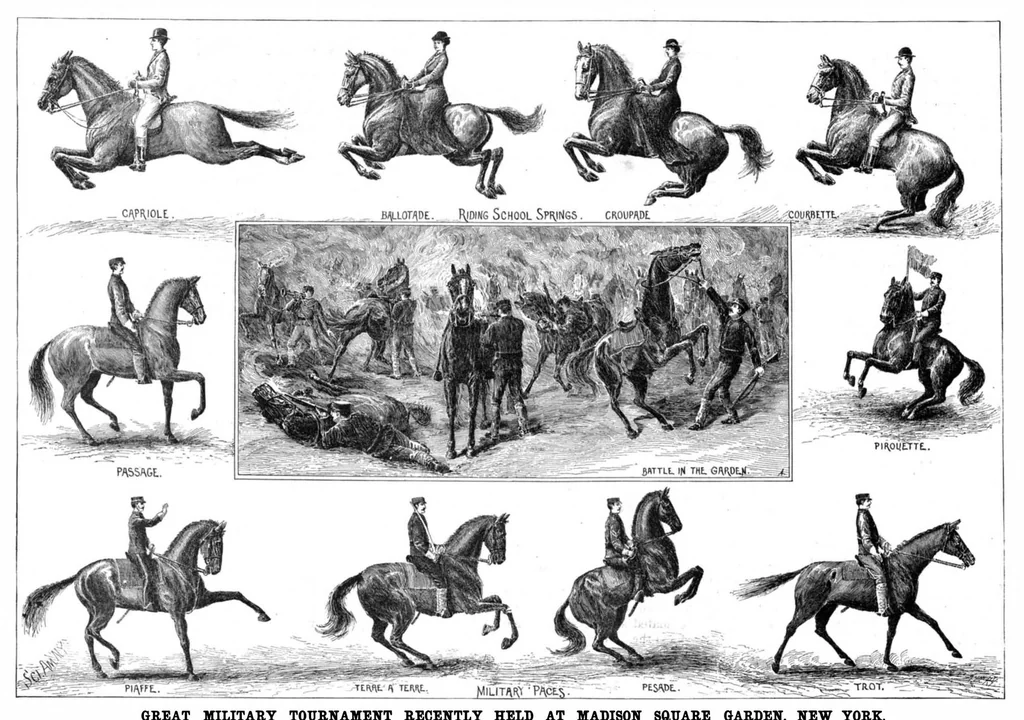 An illustration from Scientific American, Vol. 76, No. 5 (1897), 1897, leaf 10