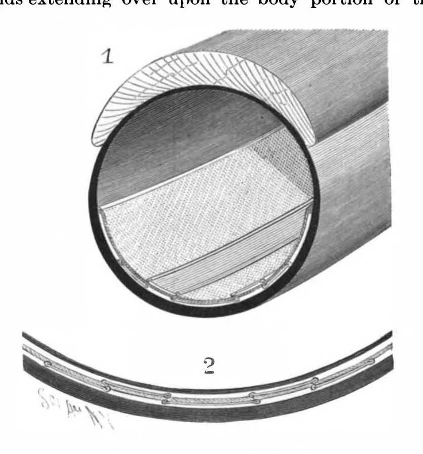 An illustration from Scientific American, Vol. 76, No. 6 (1897), 1897, leaf 4