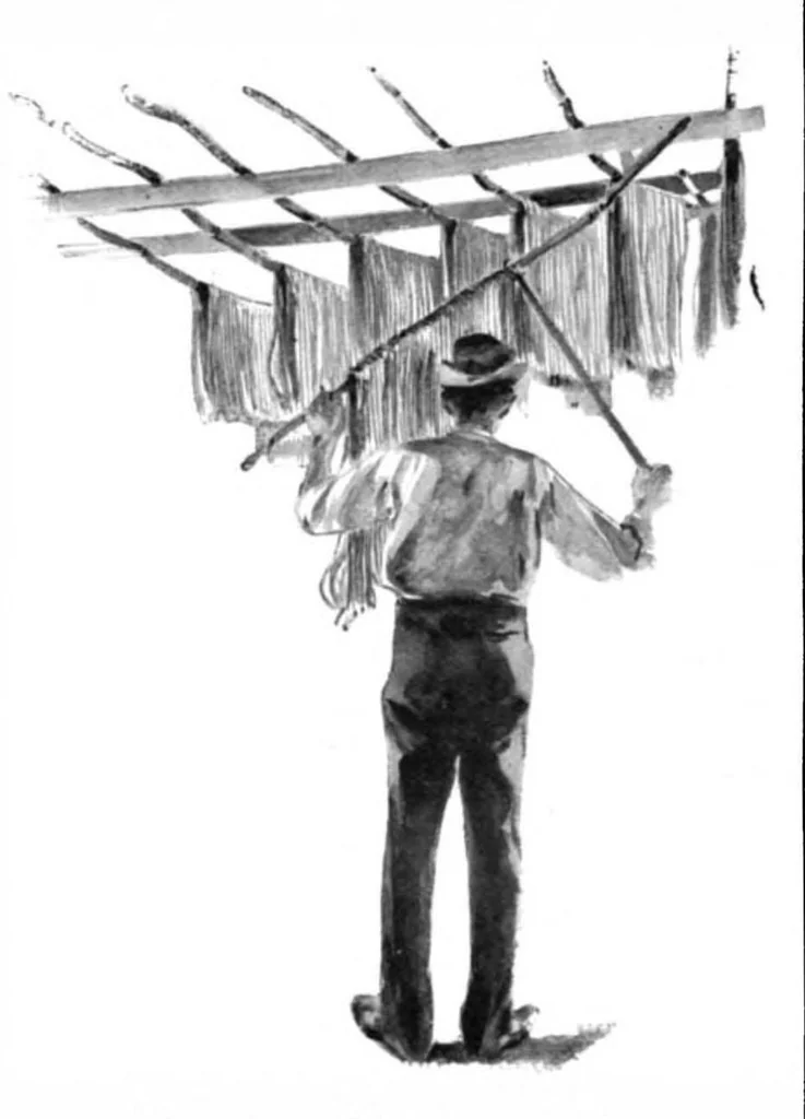 An illustration from Scientific American, Vol. 76, No. 22 (1897), 1897, leaf 4
