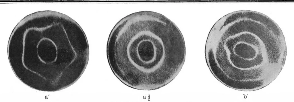 An illustration from Scientific American, Vol. 76, No. 22 (1897), 1897, leaf 8