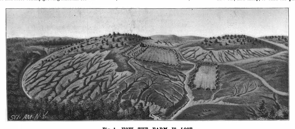 An illustration from Scientific American, Vol. 77, No. 3 (1897), 1897, leaf 7