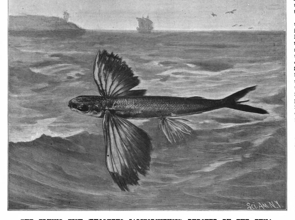 An illustration from Scientific American, Vol. 77, No. 4 (1897), 1897, leaf 10