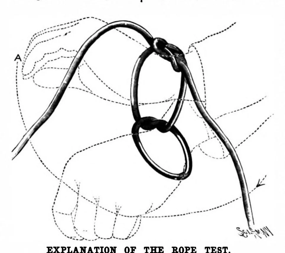 An illustration from Scientific American, Vol. 77, No. 9 (1897), 1897, leaf 10