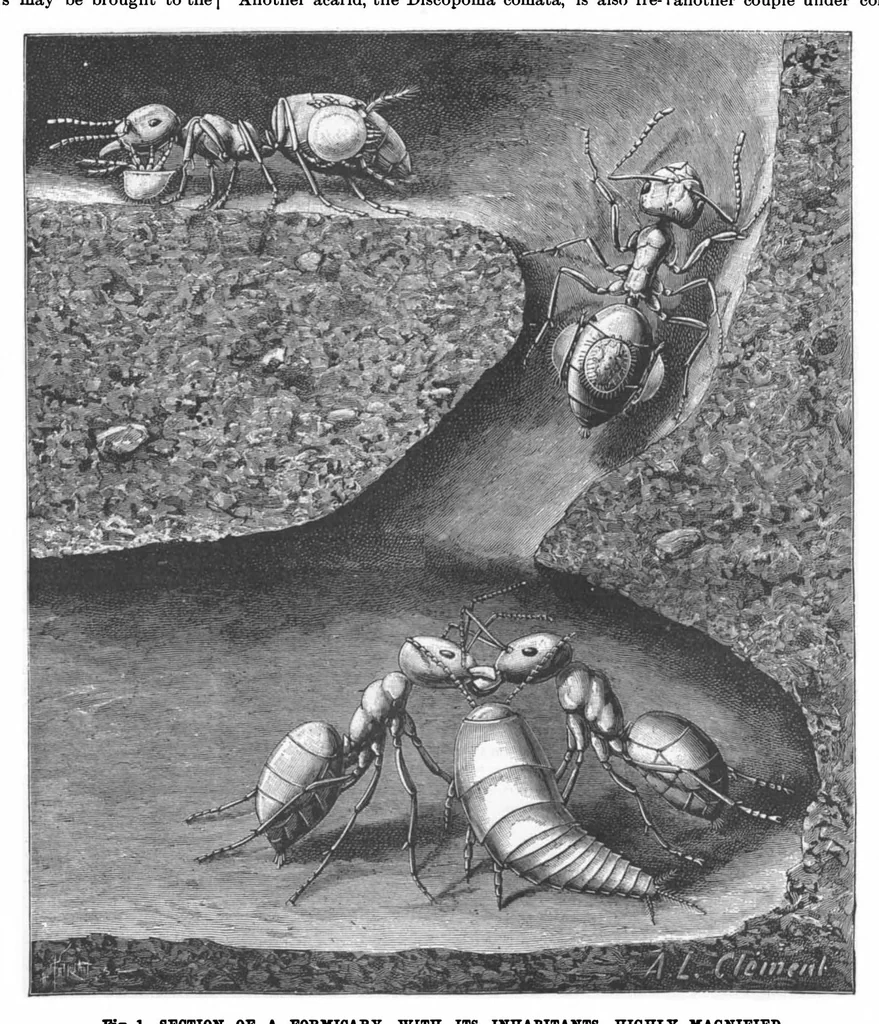 An illustration from Scientific American, Vol. 77, No. 16 (1897), 1897, leaf 10