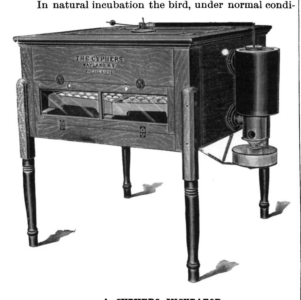 An illustration from Scientific American, Vol. 79, No. 19 (November 5, 1898), 1898, leaf 4