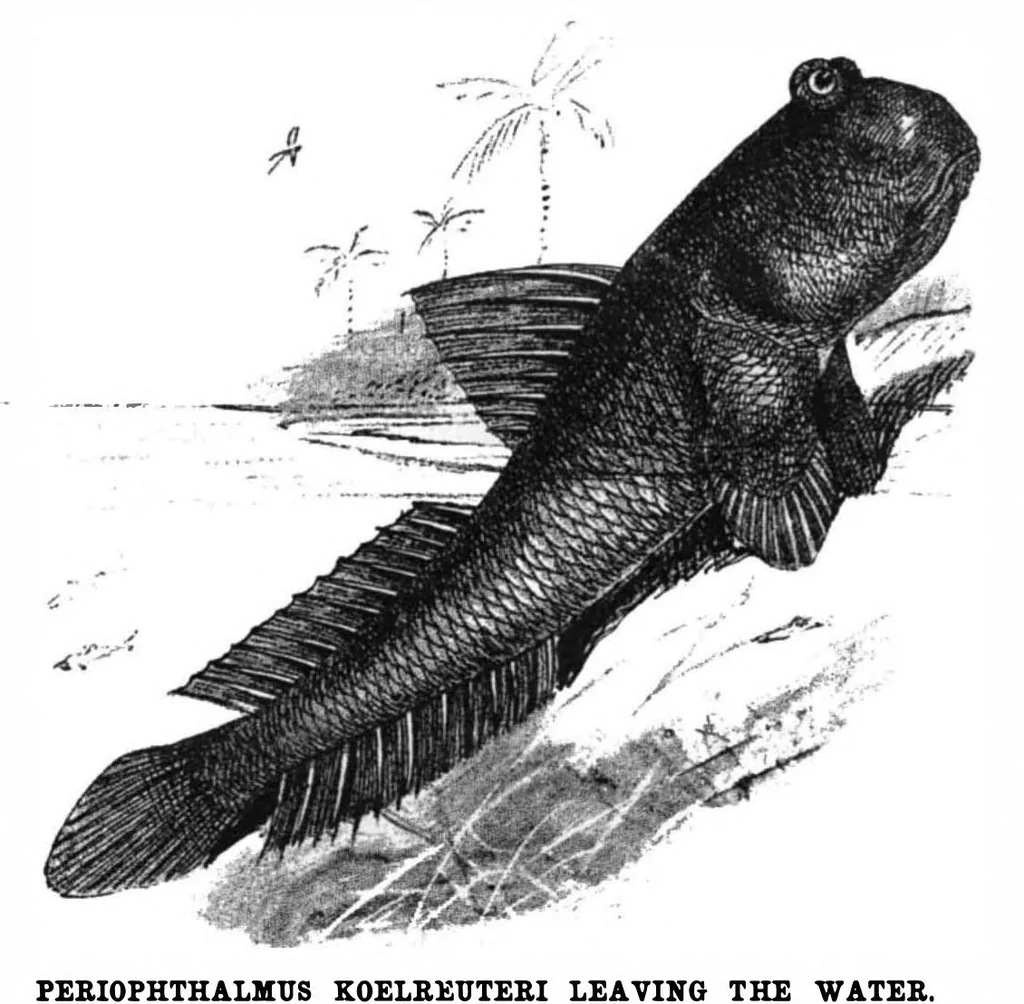 An illustration from Scientific American, Vol. 78, No. 2 (1898), 1898, leaf 8