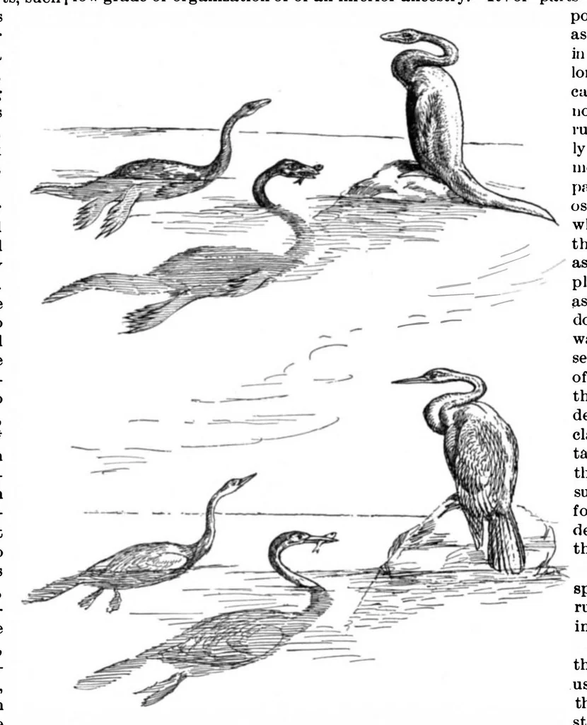 An illustration from Scientific American, Vol. 78, No. 7 (1898), 1898, leaf 10