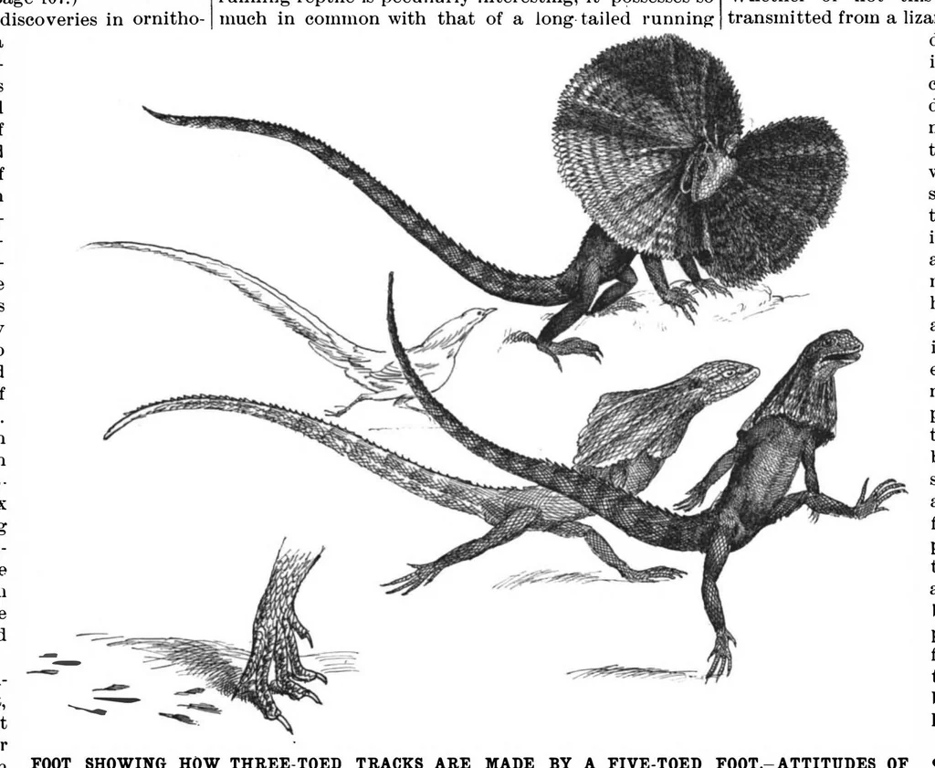 An illustration from Scientific American, Vol. 78, No. 8 (1898), 1898, leaf 4