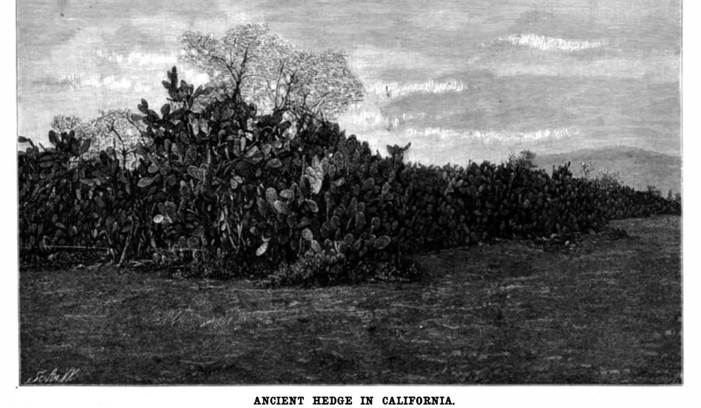 An illustration from Scientific American, Vol. 78, No. 19 (1898), 1898, leaf 4