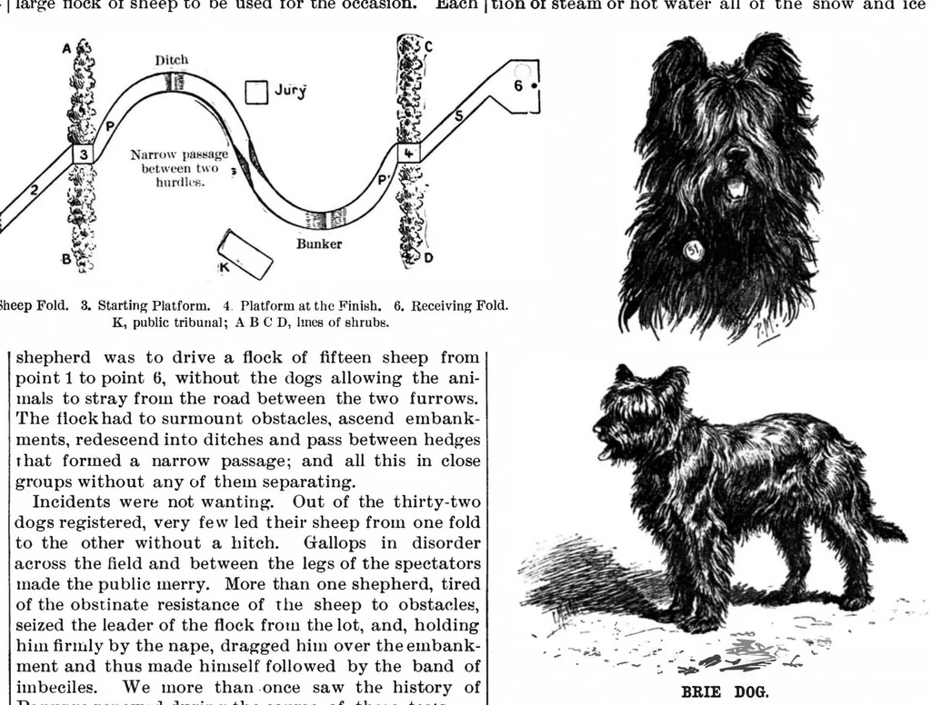 An illustration from Scientific American, Vol. 78, No. 19 (1898), 1898, leaf 8