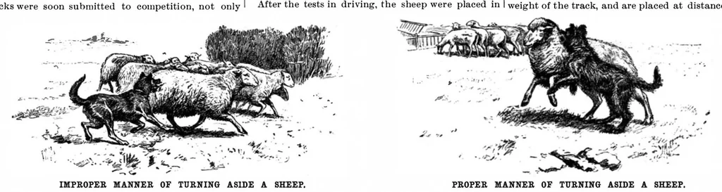 An illustration from Scientific American, Vol. 78, No. 19 (1898), 1898, leaf 8