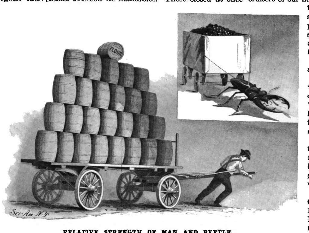 An illustration from Scientific American, Vol. 79, No. 3 (1898), 1898, leaf 7