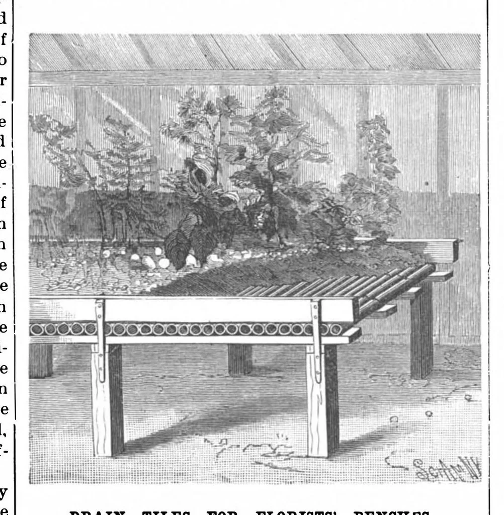 An illustration from Scientific American, Vol. 79, No. 17 (1898), 1898, leaf 10