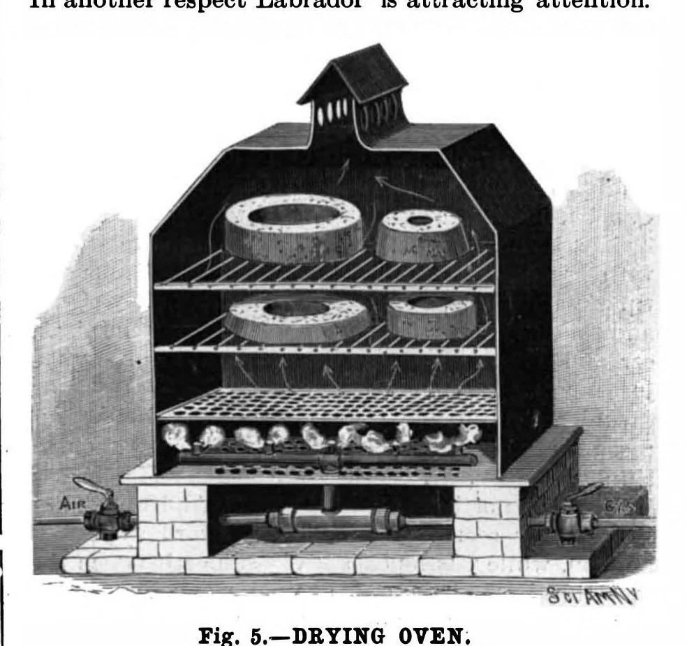 An illustration from Scientific American, Vol. 79, No. 27 (1898), 1898, leaf 3
