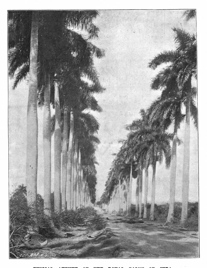 An illustration from Scientific American, Vol. 80, No. 3 (1899), 1899, leaf 7