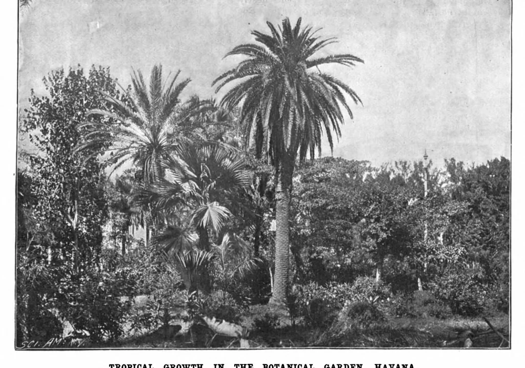 An illustration from Scientific American, Vol. 80, No. 3 (1899), 1899, leaf 7