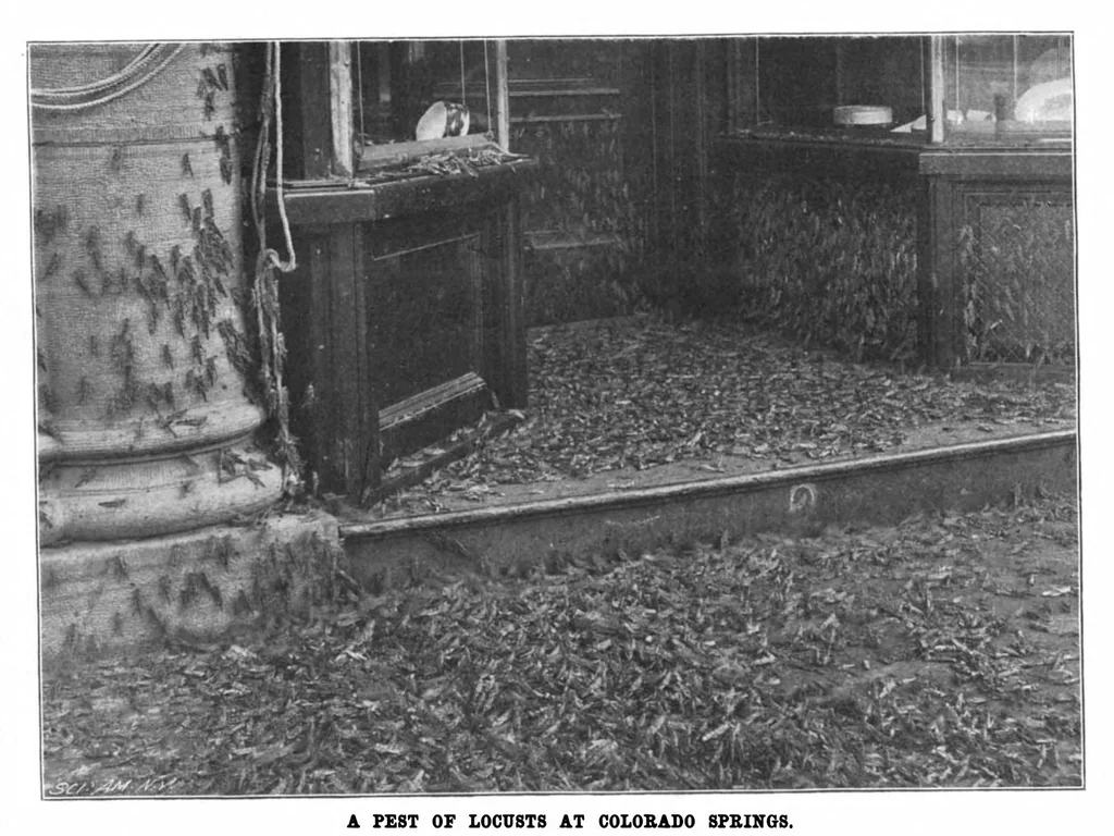 An illustration from Scientific American, Vol. 80, No. 13 (1899), 1899, leaf 3