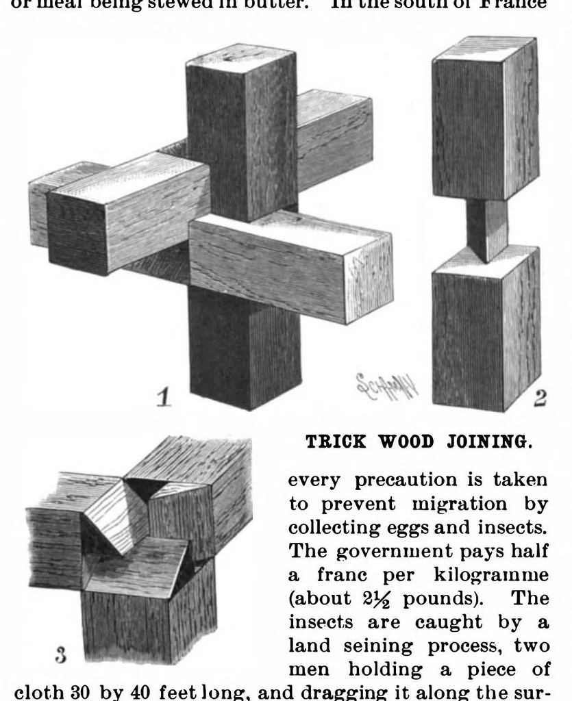 An illustration from Scientific American, Vol. 80, No. 13 (1899), 1899, leaf 3