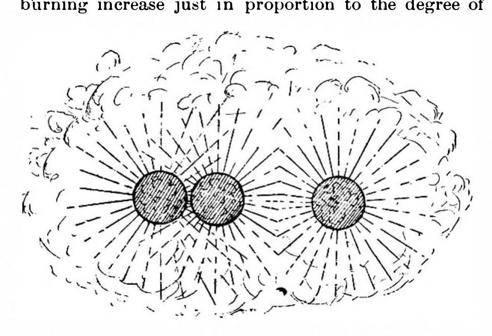 An illustration from Scientific American, Vol. 80, No. 18 (1899), 1899, leaf 6