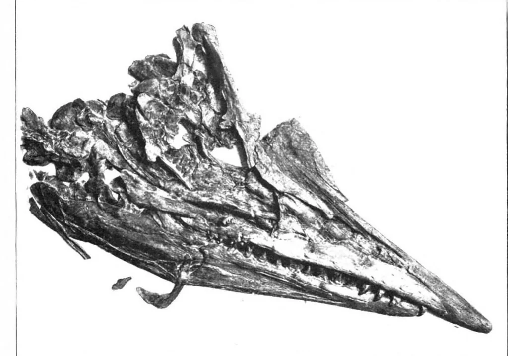 An illustration from Scientific American, Vol. 81, No. 1 (1899), 1899, leaf 4