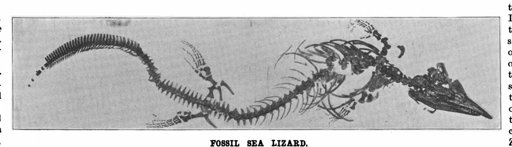 An illustration from Scientific American, Vol. 81, No. 1 (1899), 1899, leaf 4