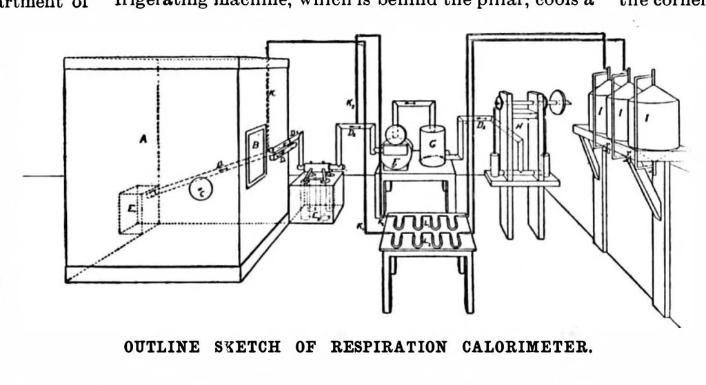 An illustration from Scientific American, Vol. 81, No. 6 (1899), 1899, leaf 4