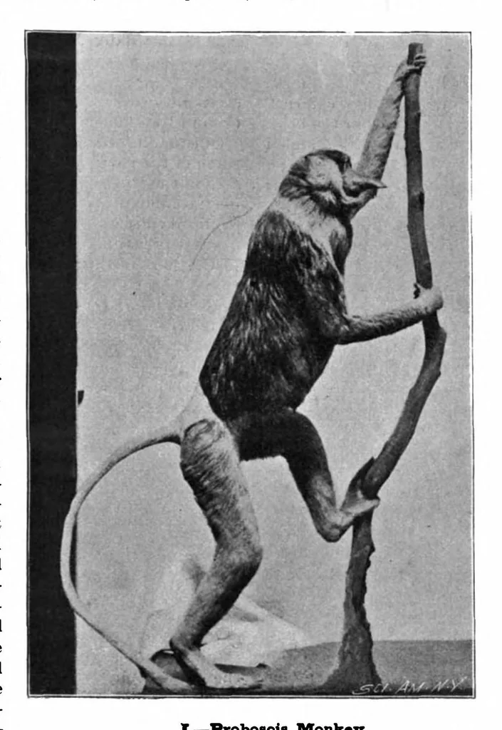 An illustration from Scientific American, Vol. 81, No. 11 (1899), 1899, leaf 4