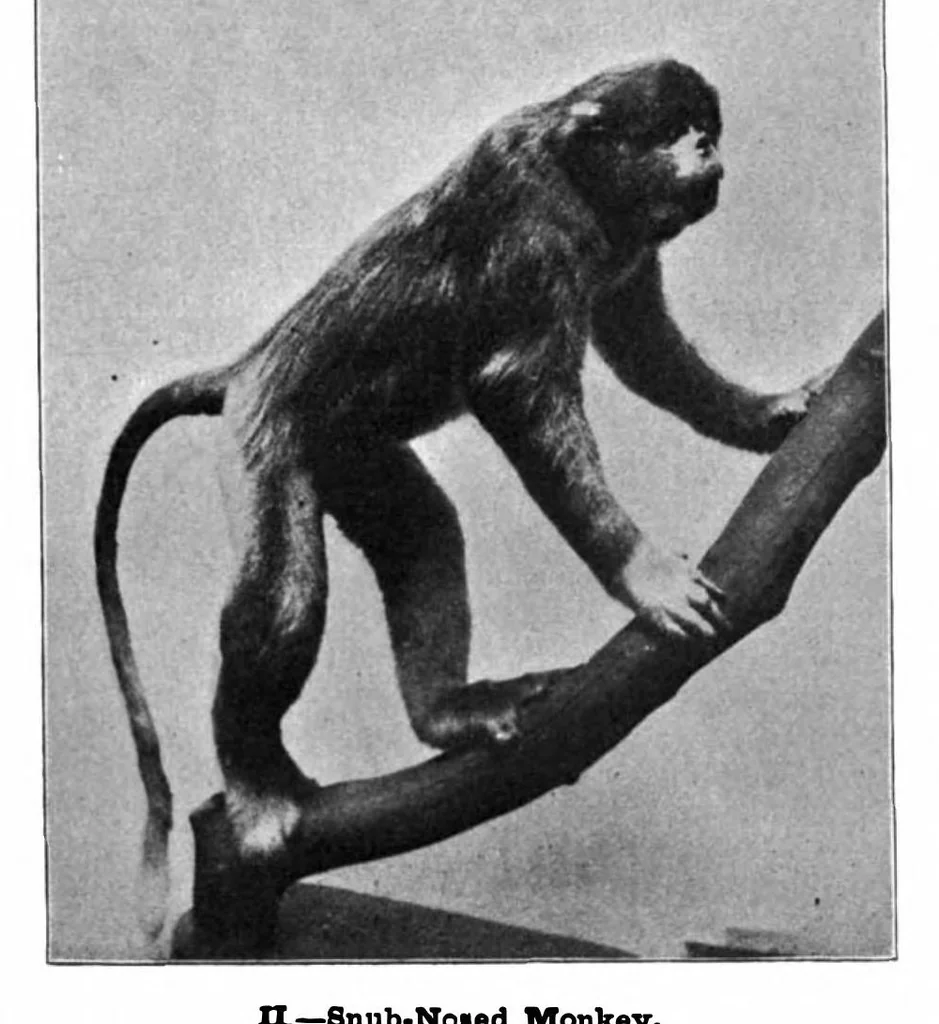 An illustration from Scientific American, Vol. 81, No. 11 (1899), 1899, leaf 4