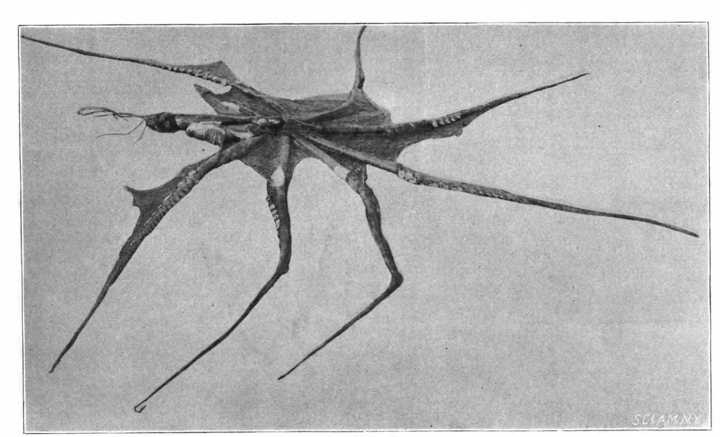 An illustration from Scientific American, Vol. 81, No. 12 (1899), 1899, leaf 3