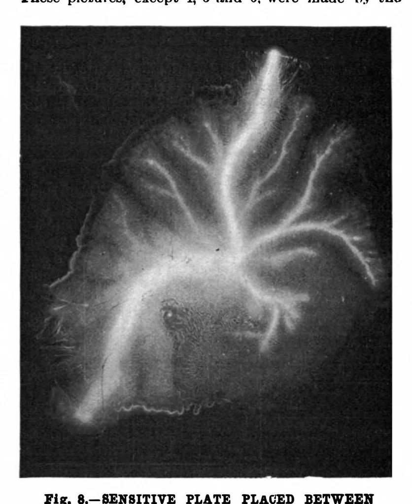 An illustration from Scientific American, Vol. 81, No. 15 (1899), 1899, leaf 4
