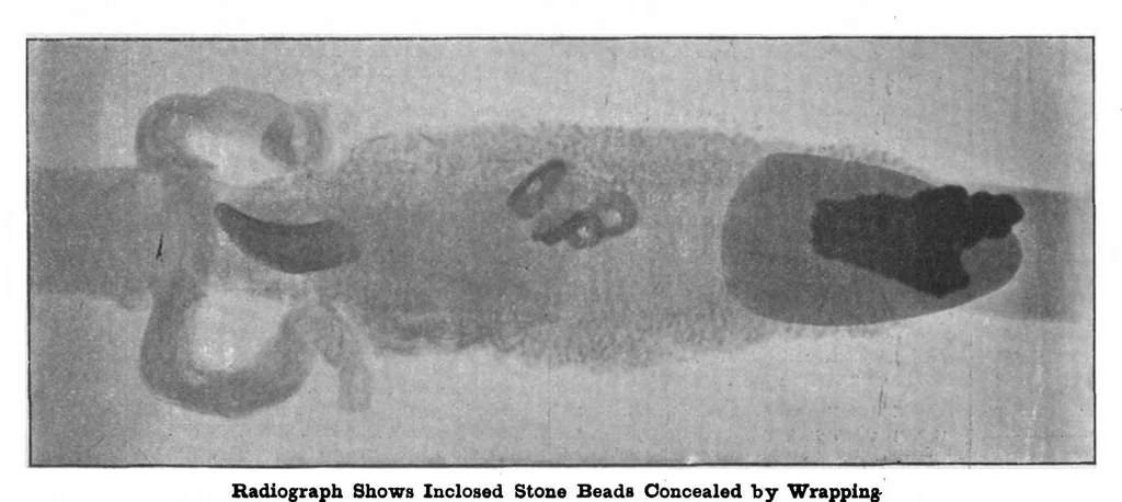An illustration from Scientific American, Vol. 81, No. 27 (1899), 1899, leaf 8