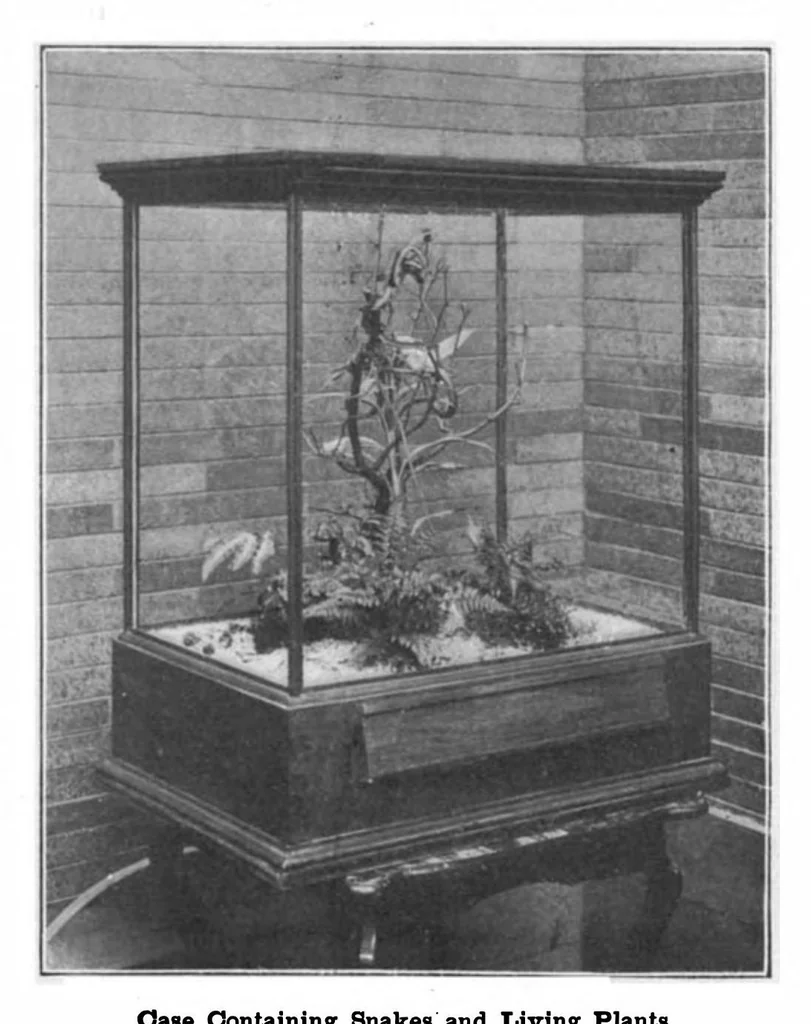 An illustration from Scientific American, Vol. 82, No. 1 (1900), 1900, leaf 7