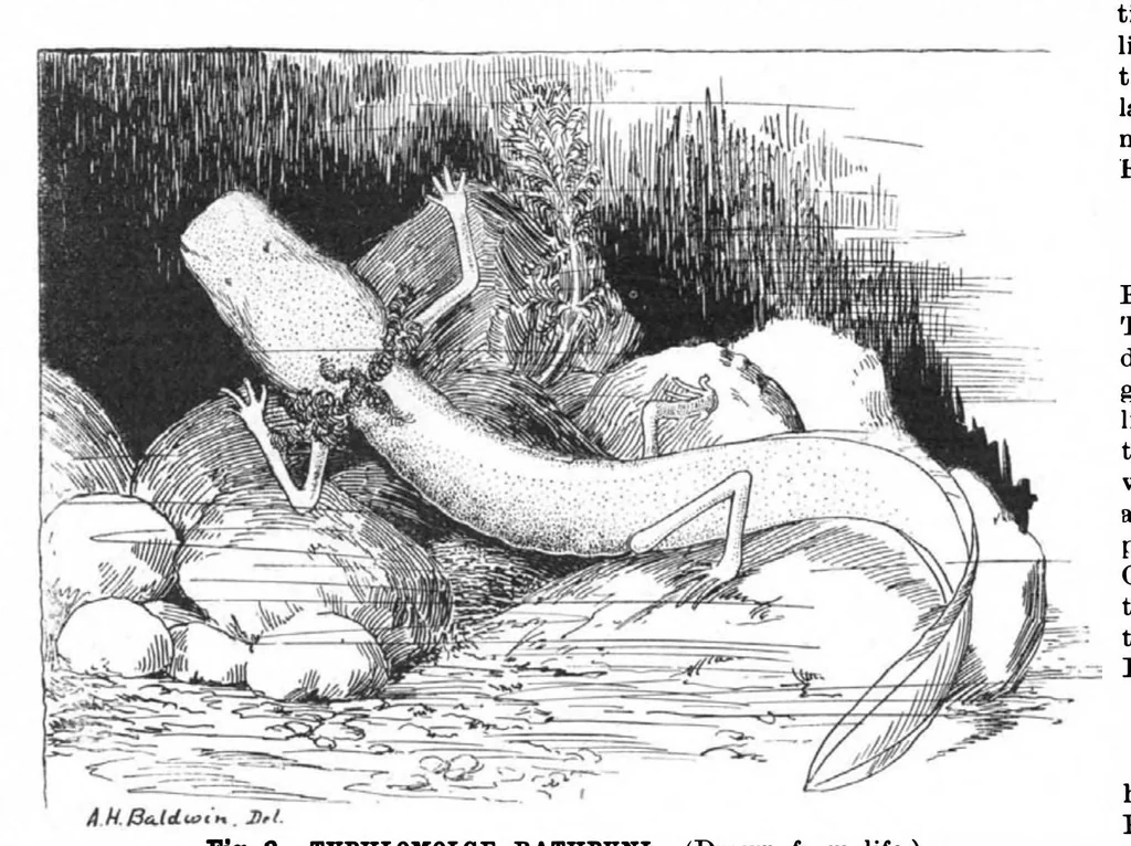 An illustration from Scientific American, Vol. 82, No. 7 (1900), 1900, leaf 10