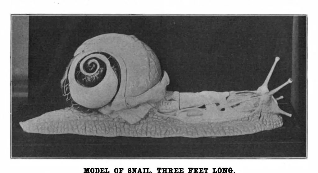 An illustration from Scientific American, Vol. 82, No. 19 (1900), 1900, leaf 8
