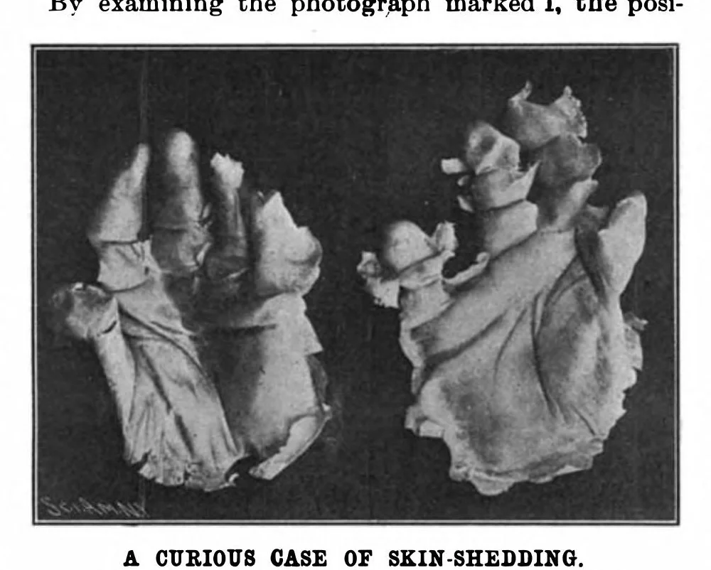 An illustration from Scientific American, Vol. 83, No. 7 (1900), 1900, leaf 3