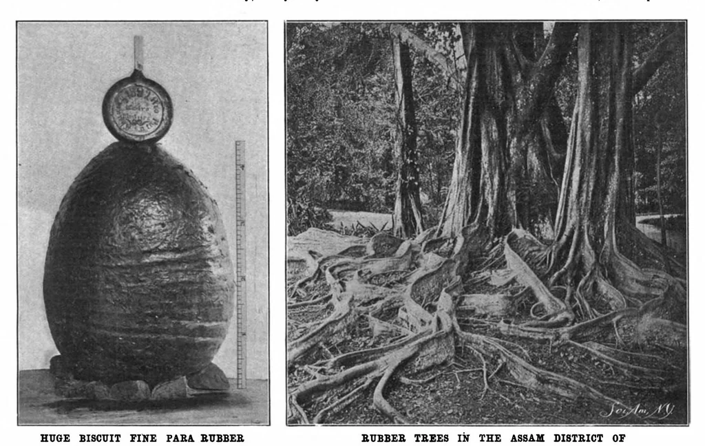 An illustration from Scientific American, Vol. 83, No. 8 (1900), 1900, leaf 10
