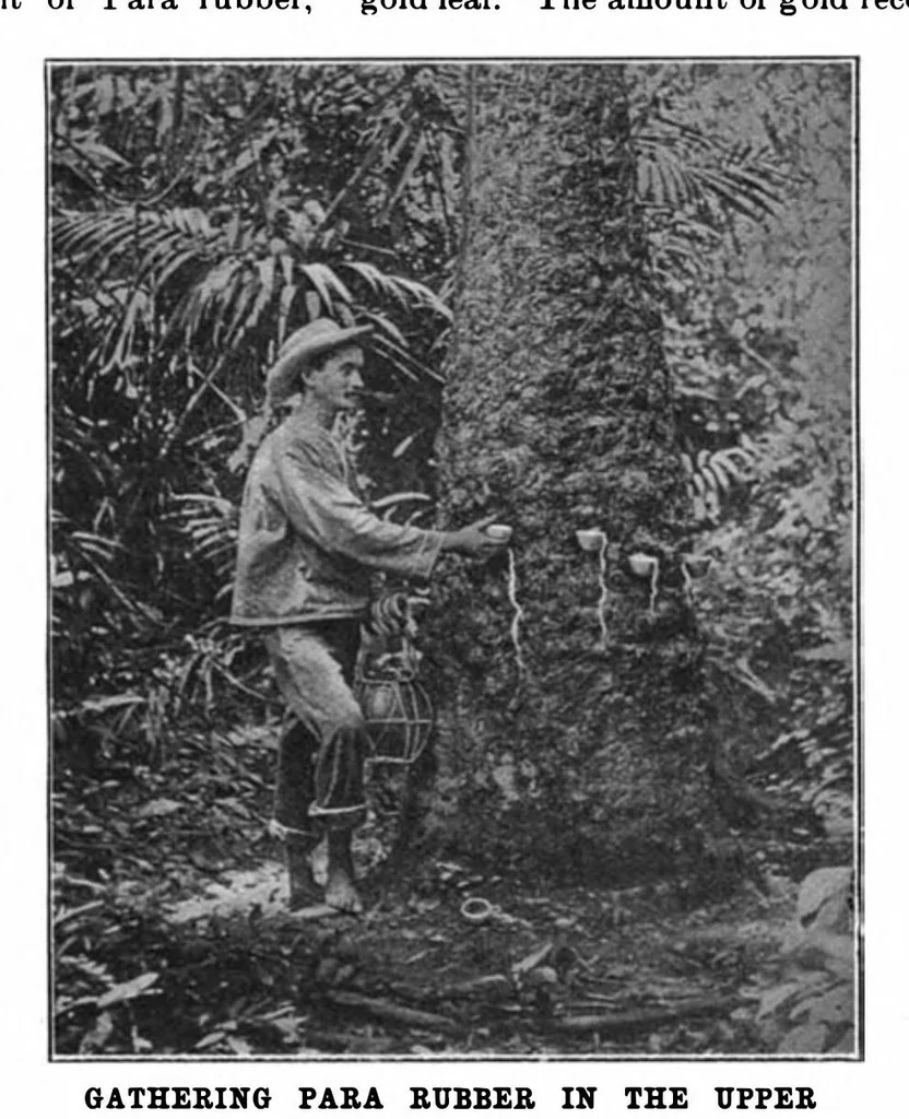 An illustration from Scientific American, Vol. 83, No. 8 (1900), 1900, leaf 10