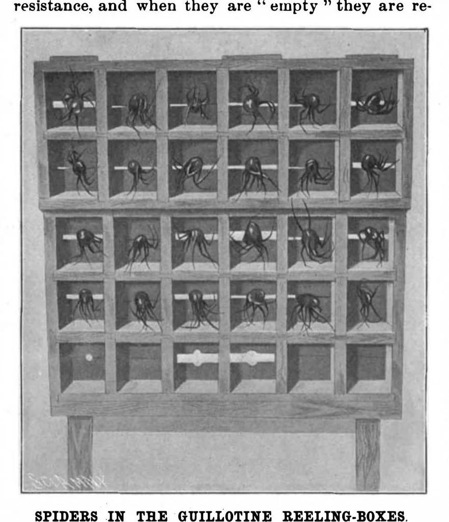 An illustration from Scientific American, Vol. 83, No. 9 (1900), 1900, leaf 4