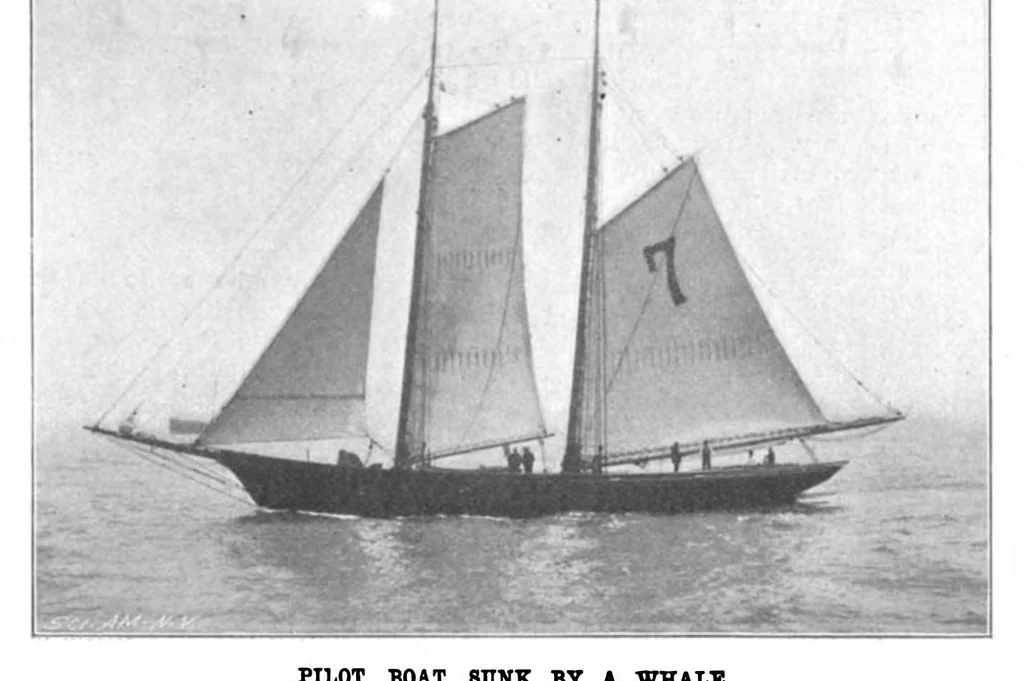 An illustration from Scientific American, Vol. 83, No. 11 (1900), 1900, leaf 4
