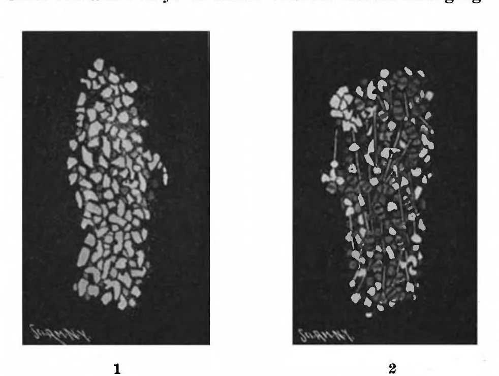 An illustration from Scientific American, Vol. 83, No. 16 (1900), 1900, leaf 9